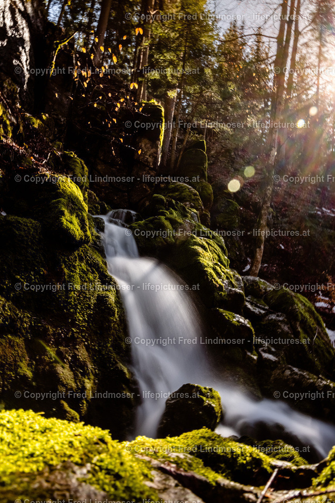 Erlaufursprung 23042021-2934 | Fotos und Fotoprodukte - Realisiert mit Pictrs.com