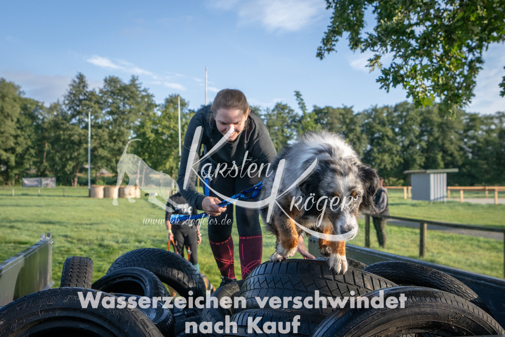 0826_ZZ91443 | kk-dogfotos