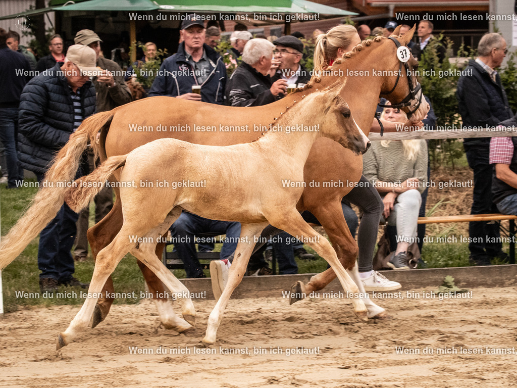 A10I3450 15.56.14 | photographylinaismer - Realisiert mit Pictrs.com