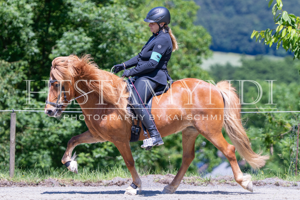KAI08525 | Ihr sucht einen Fotografen für eure nächste OSI? Ich begleite auch euer Turnier für Islandpferde fotografisch.  - Realisiert mit Pictrs.com