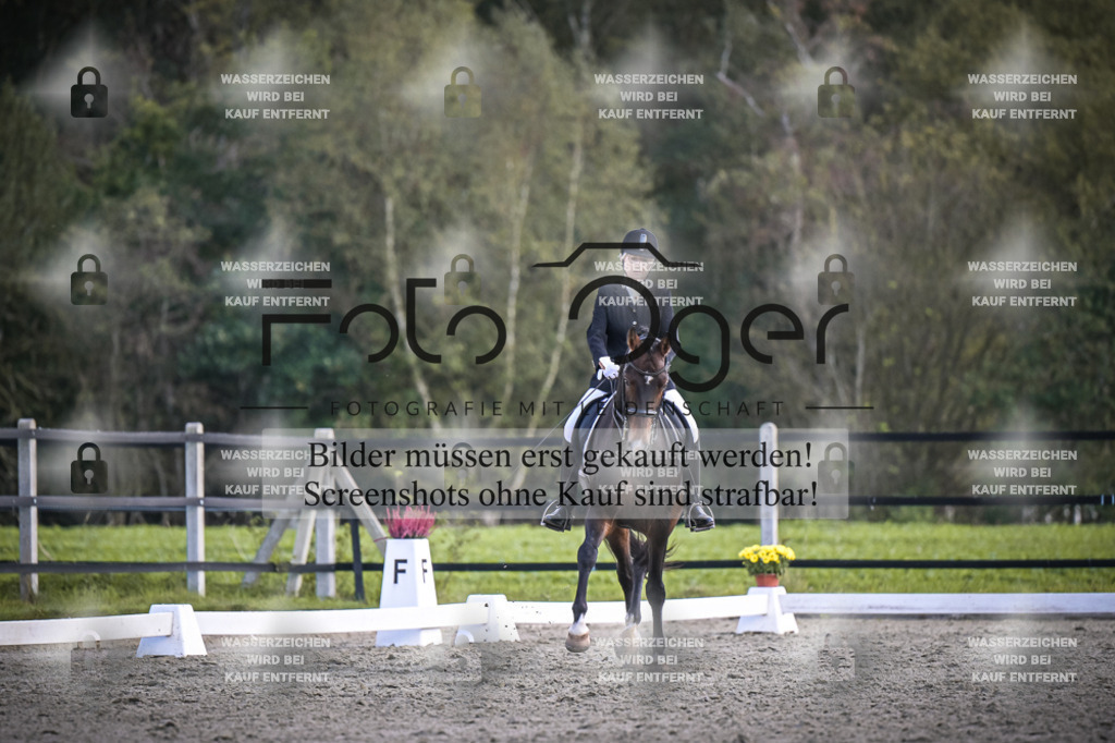 DOS_3950 | Entdecke hochwertige Reitturnierfotos von Foto Oger. Professionell, emotional und authentisch – jetzt Lieblingsmomente im Shop bestellen.Deutschlandweite Turnierfotografie. - Realisiert mit Pictrs.com