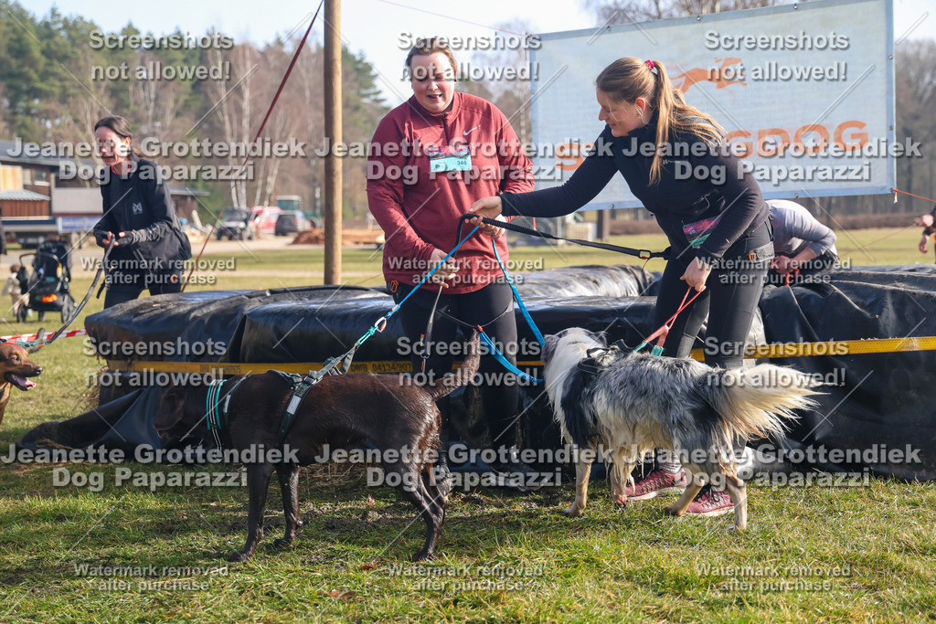 Dog Paparazzi - Strongdog North Mrz26-806 | Dog Paparazzi Jeanette Grottendiek Fotografie & Videografie - Realisiert mit Pictrs.com