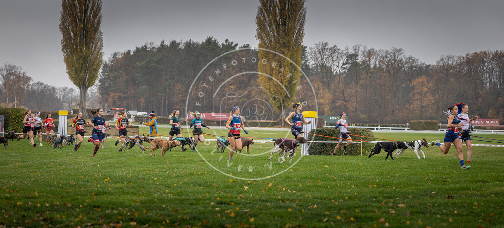 CaniXpix_DV3A8768 | Hundefotografie, Tierfotograf, Pfotenfotografie, Fotoshooting Hund, Hunde Portrait, Hundesport, Hundeportraits, Heideshooting, Hunde, Sportfotograf, Hundefotograf, Turnierhundsport, THS,  - Realisiert mit Pictrs.com