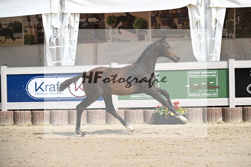 Escaneno x Ganymedes_HF_Amann_12250201 | hf-fotografie - Realisiert mit Pictrs.com