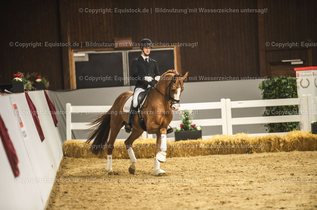 20240302_Hengstvorstellung_Marbach_TOMsPiC_0580 | equistock
