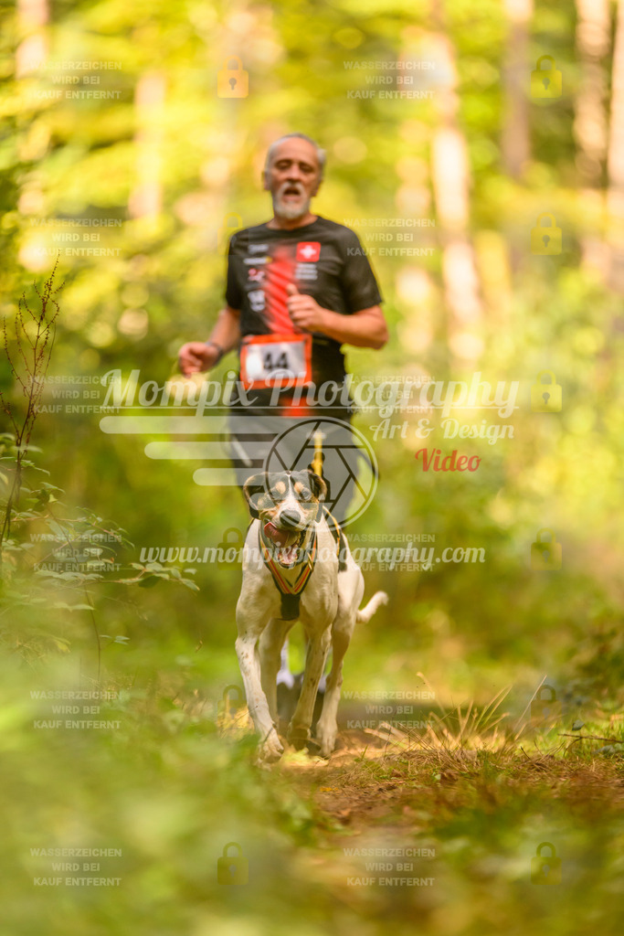 MompixPhotography_Yens2025_B2-161 | PayLife