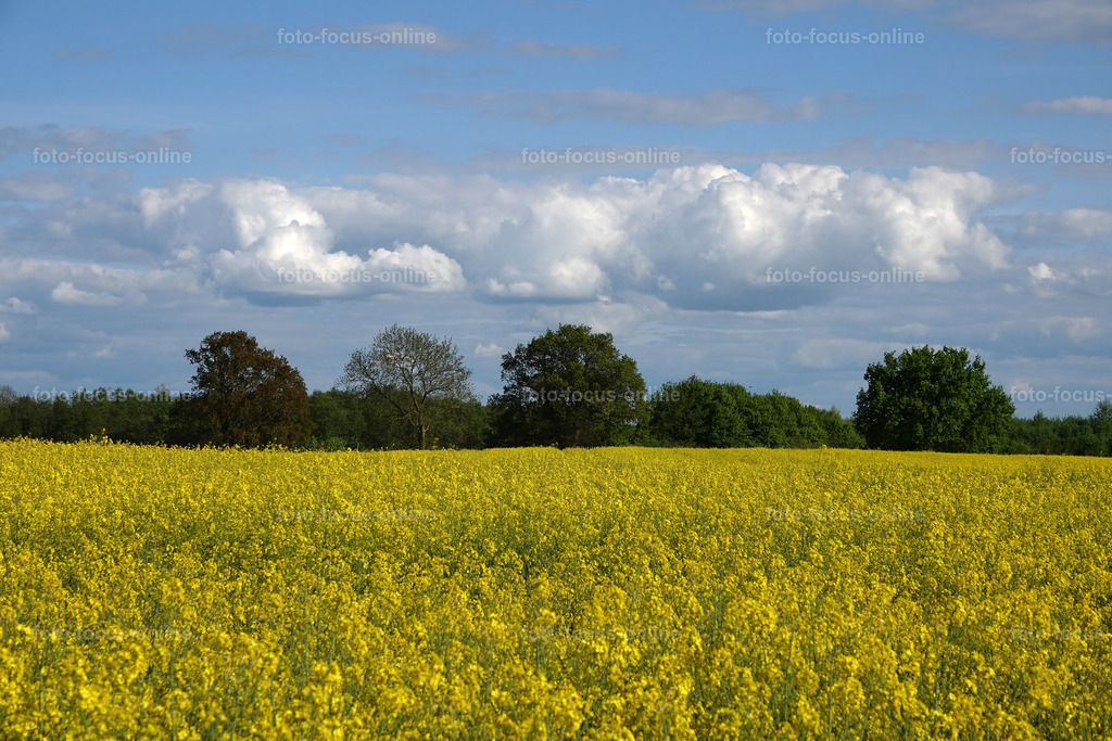 rapps-heute_20 | foto-focus-online