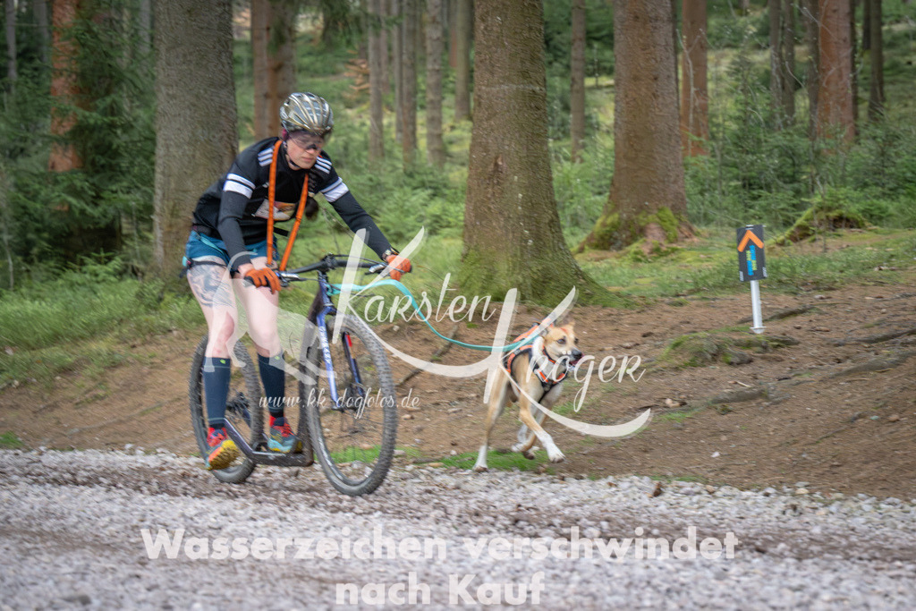 1005_ZZ92166 | kk-dogfotos