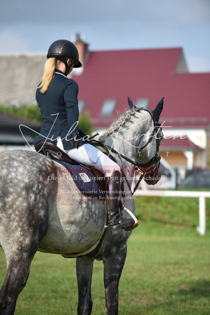 DSC_8754 | Pferde- und Turnierfotografie in Westsachsen. Pferdeportraits, Auftragszeichnungen und intuitive Kunst.