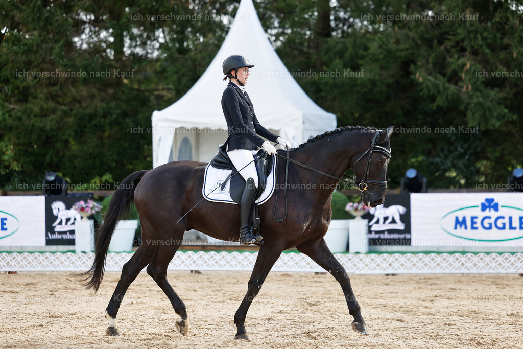 02-108-DRESSUR L_  -StoibPH-4743 | working equitationturnier fotograf videograf stoibphotography marixx film working equitation deutschland reitsport turnierfotografie eventfotografie equestrian events