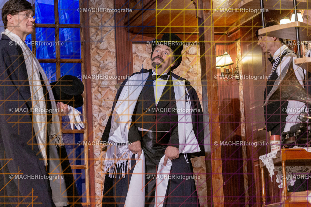 303_MFL-2025 | Portraitbilder von Regisseur; Darsteller; Techniker; Maske; Kostüme; Chor; Musiker; Bilderserie der Generalprobe und der Premierenvorstellung, Szenenbilder; Ausdrucksstudien; Bühnenüberblick; Bühnenkulissen; Pressefotos inkl. Redaktionsfoto Darstellergruppe.