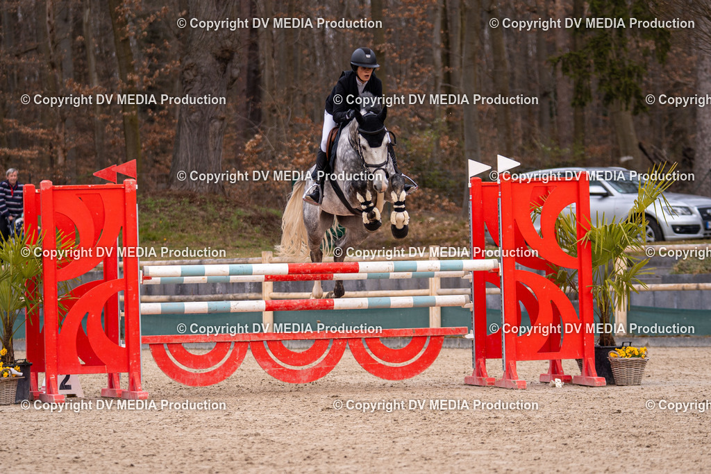 Kranichstein Tag 2-1831 | dv-media-shop - Realisiert mit Pictrs.com