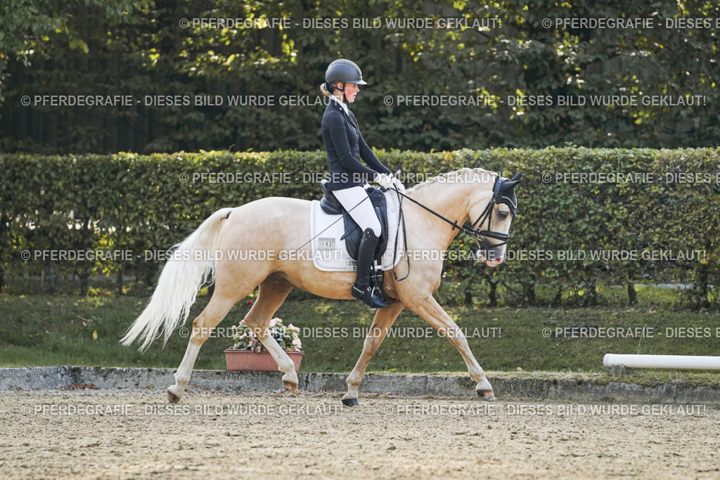 DSC04956 | Pferdegrafie