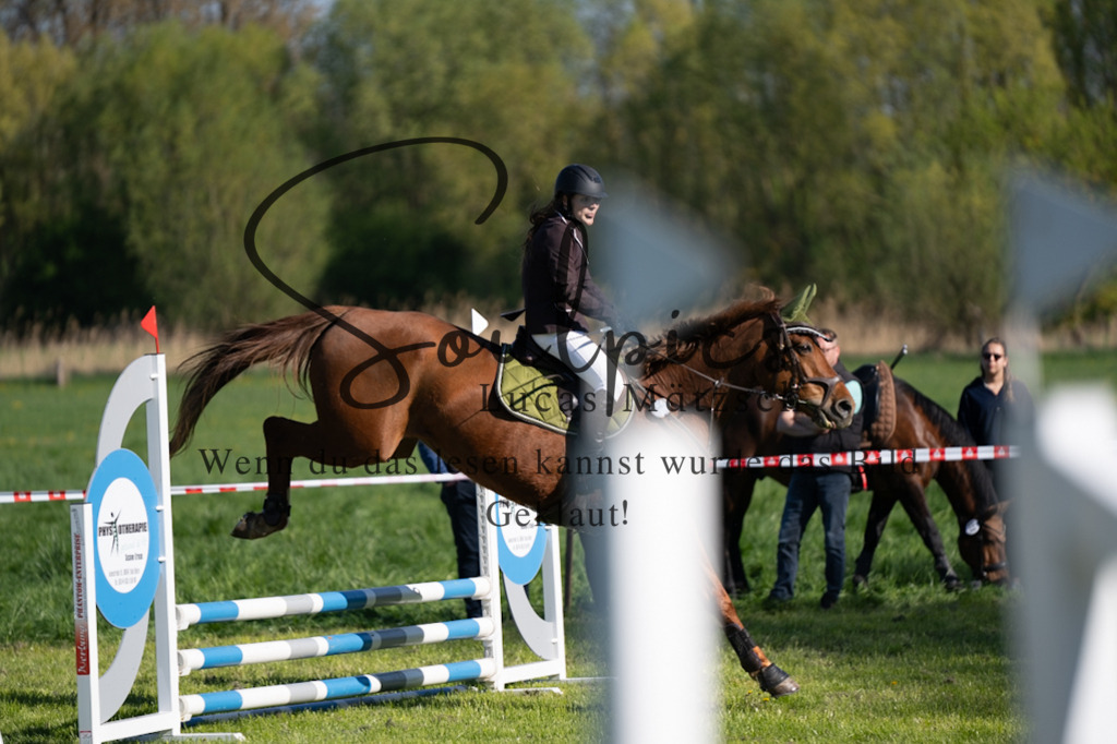 A7V01616 | Pferdefotograf