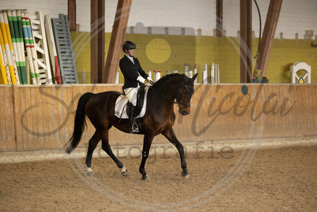 994A8921 | sabrinanicolaifotografie - Realisiert mit Pictrs.com