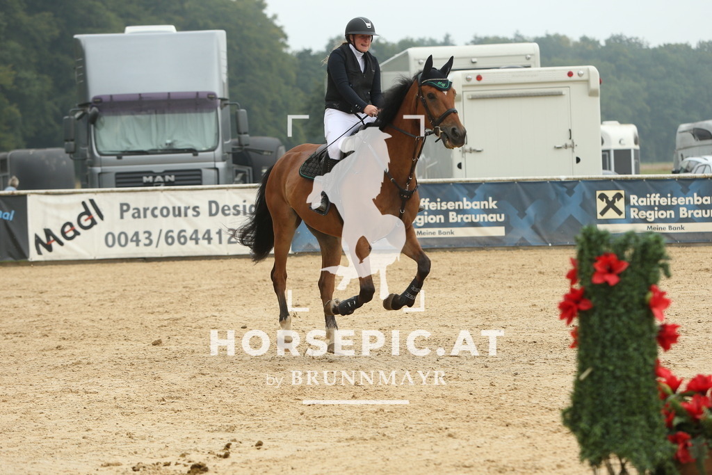 DL2Q6142 | Willkommen bei Brunnmayr - Design & Fotografie – Ihrem Spezialisten für Reitturniere und Pferdeveranstaltungen in Oberösterreich, Salzburg und Bayern! Seit über 17 Jahren sind wir leidenschaftlich dabei.