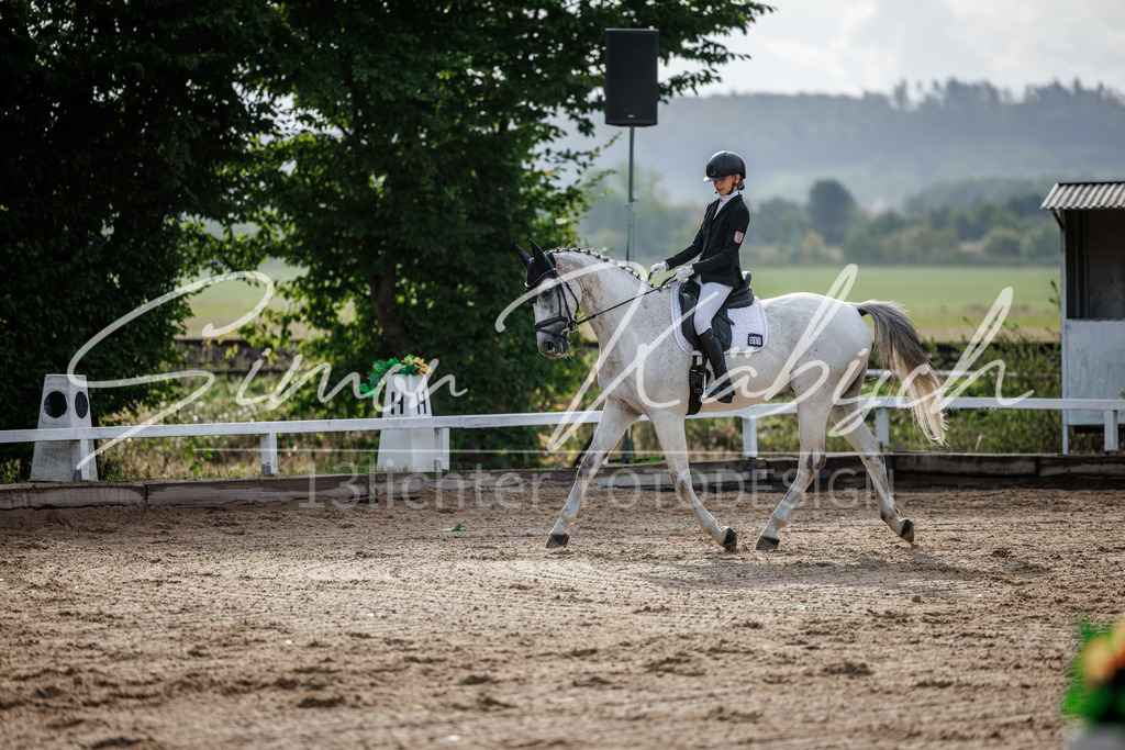 20260905-_3LI6897 | Tierfotografie Pferde, Hunde, Katzen, Haustiere.
Turnierfotografie Reitturniere, Reiten, Springreiten, Dressur in Hanau, dem Main-Kinzig-Kreis und dem Rhein-Main- Gebiet um Frankfurt