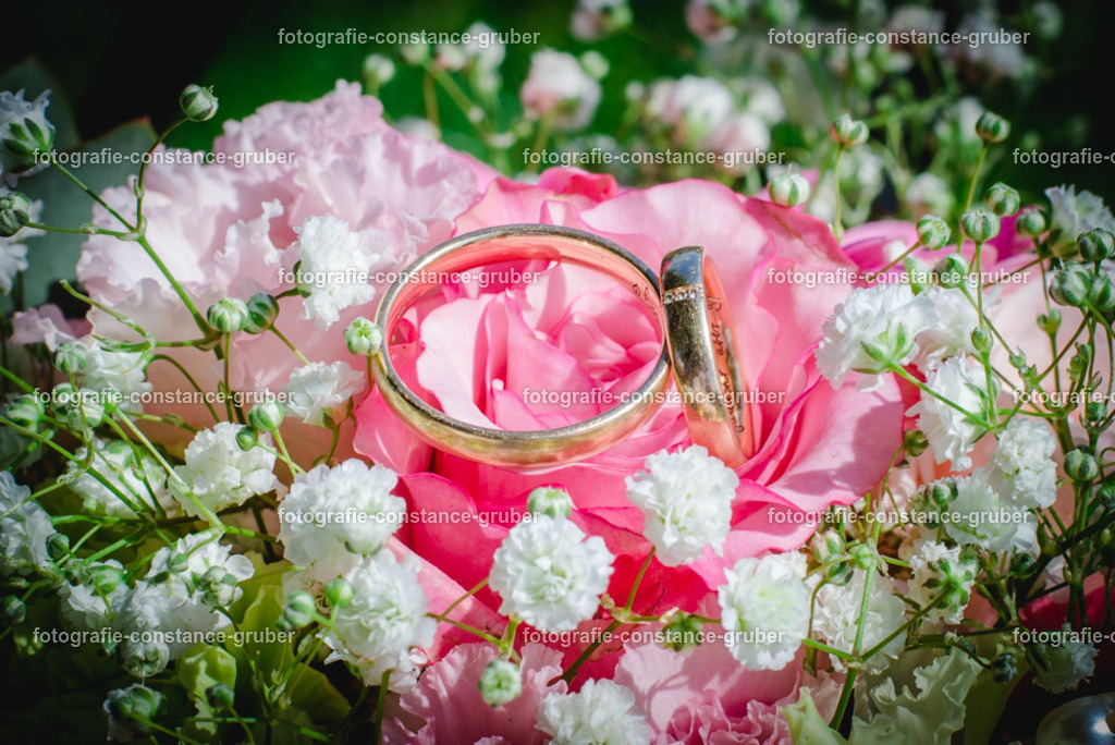 1014 | Fotografie Constance Gruber - Realisiert mit Pictrs.com