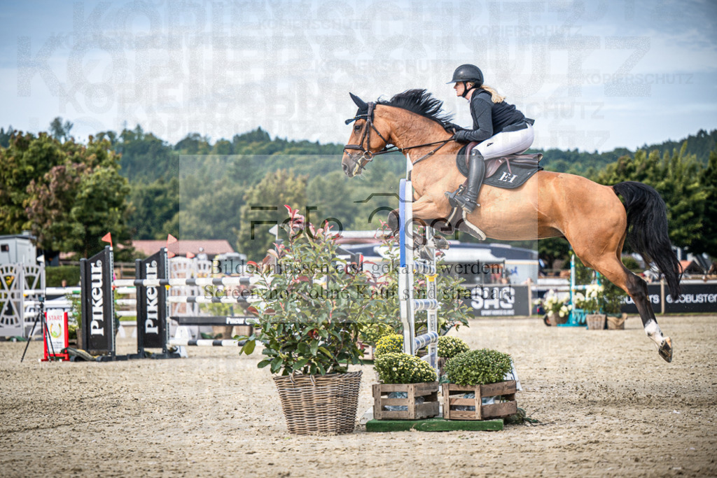 DOS_7041 | Entdecke hochwertige Reitturnierfotos von Foto Oger. Professionell, emotional und authentisch – jetzt Lieblingsmomente im Shop bestellen.Deutschlandweite Turnierfotografie. - Realisiert mit Pictrs.com
