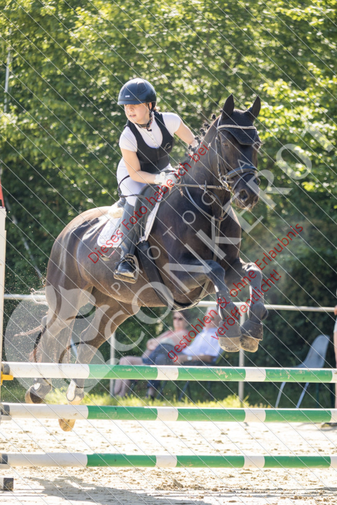 IMG_2623 | Sport-, Event- und Tierfotos in Profiqualität. Einfach auswählen, bestellen und herunterladen. Dein Moment – perfekt festgehalten.