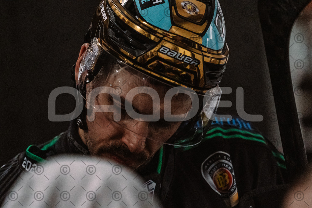 Alligators_vs_Erding_01_02_2026-57 | Höchstadt Alligators Fotogalerie: Eishockey-Action aus Franken. Professionelle Spielfotos, Portraits & Stadionbilder zum Download. Jetzt entdecken! - Realisiert mit Pictrs.com
