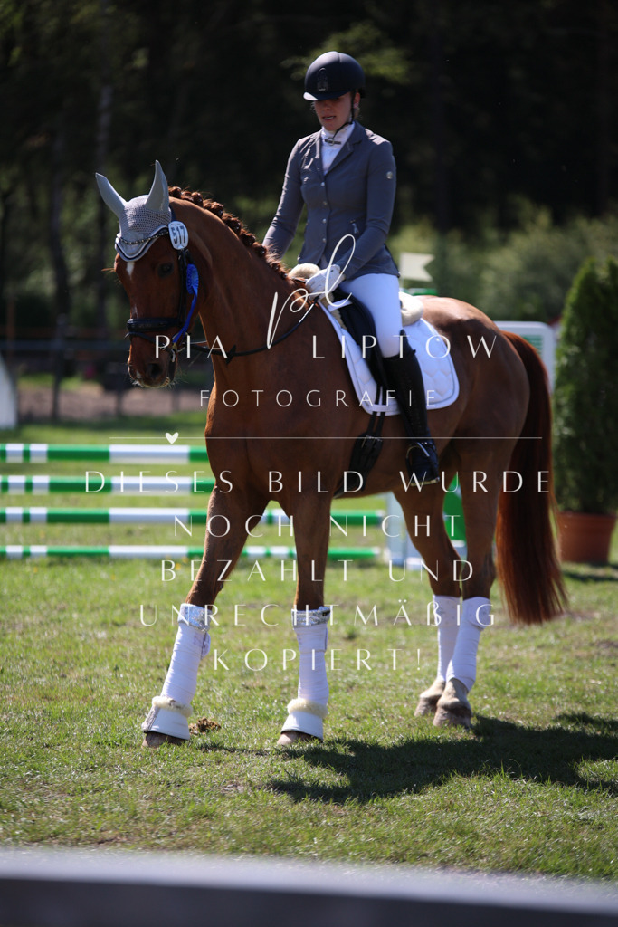 IMGT7882 | pl-fotografie