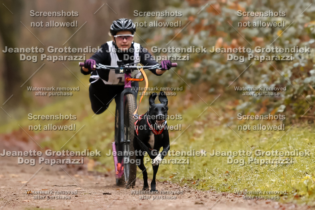 Dog Paparazzi - Speedhunter Mannheim  2025-42 | Dog Paparazzi Jeanette Grottendiek Fotografie & Videografie