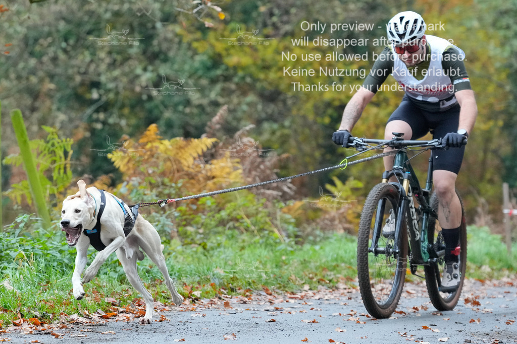 AusschnitteSo-27 | stephaniefillaphotographie - Realisiert mit Pictrs.com