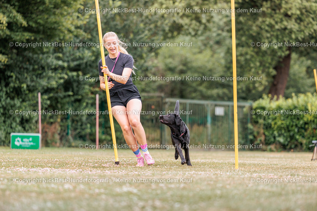 THS-Quakenbrück-2026-Nickbest-Hundefotografie-3776 | Dein Hund! Dein Moment! Deine Erinnerungen! Hundefotografie in Bremen Blumenthal. Ich fange die besonderen Momente deines Vierbeiners ein – ob Indoor mit Blitzanlage oder in der freien Natur. Sicher dir dein Moment und dein Termin für eure Erinnerungen.
