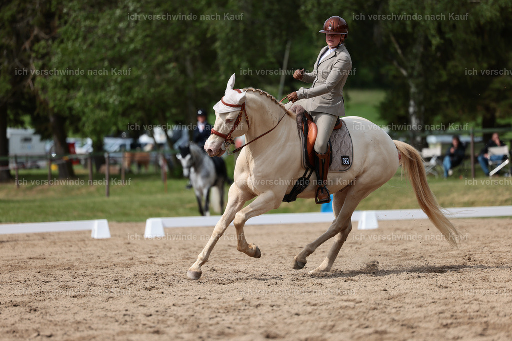 Masterclass_stoibphotography_C2_L5045.JPG | working equitationturnier fotograf videograf stoibphotography marixx film working equitation deutschland reitsport turnierfotografie eventfotografie equestrian events
