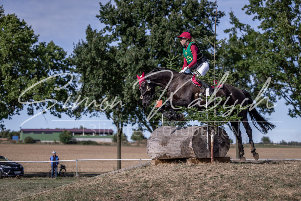 20260906-_3LI6236 | Tierfotografie Pferde, Hunde, Katzen, Haustiere.
Turnierfotografie Reitturniere, Reiten, Springreiten, Dressur in Hanau, dem Main-Kinzig-Kreis und dem Rhein-Main- Gebiet um Frankfurt
