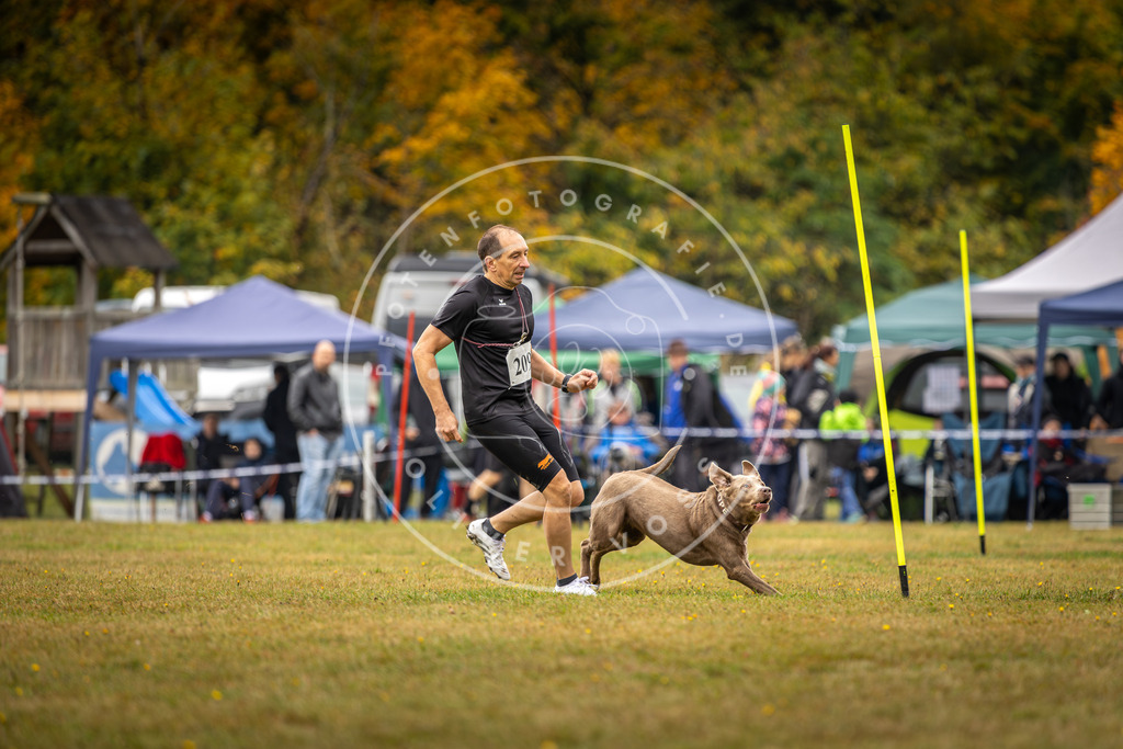 Pfotenfotografie_DV3A2283 | Hundefotografie, Tierfotograf, Pfotenfotografie, Fotoshooting Hund, Hunde Portrait, Hundesport, Hundeportraits, Heideshooting, Hunde, Sportfotograf, Hundefotograf, Turnierhundsport, THS,  - Realisiert mit Pictrs.com