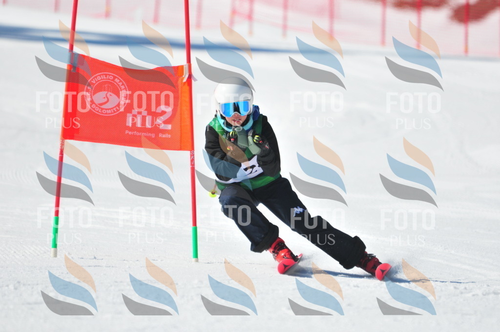 C3793 | holidayphoto