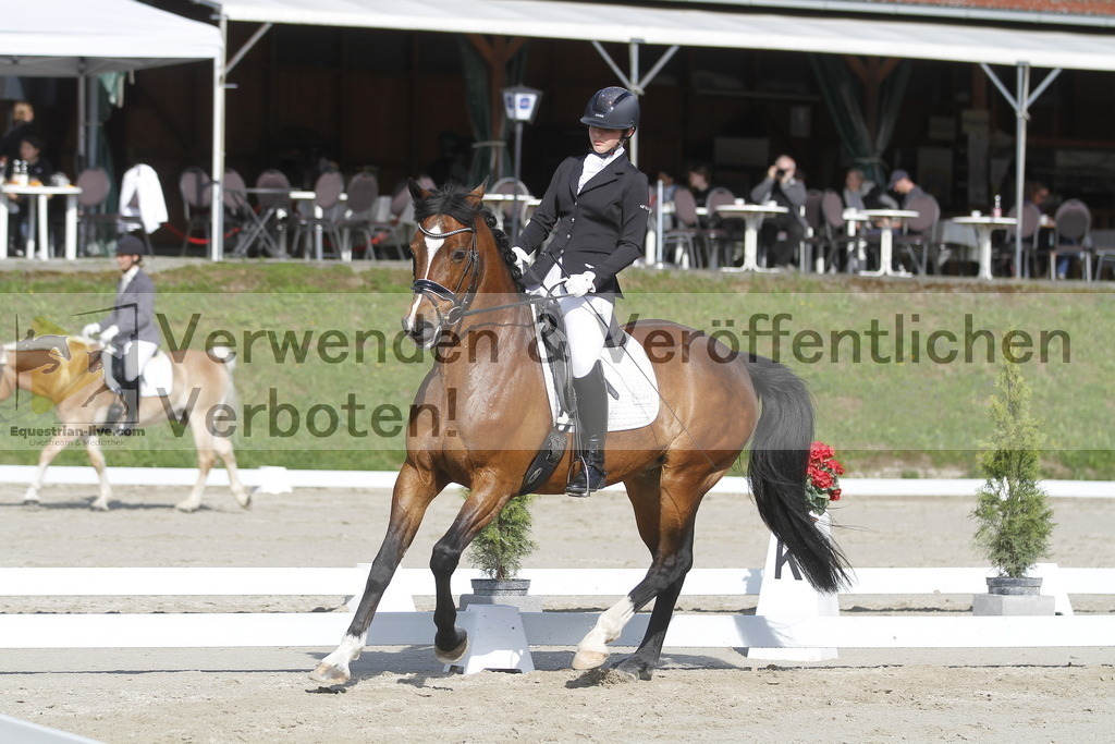 _MG_9229 | equestrian-live-com