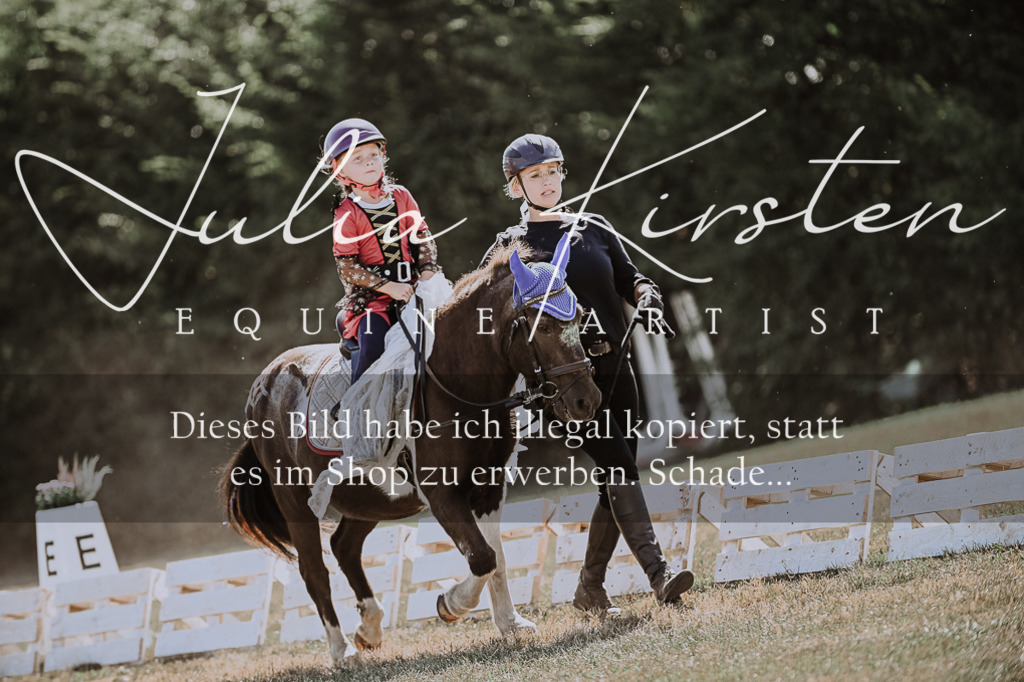 DSC_8902 | Pferde- und Turnierfotografie in Westsachsen. Pferdeportraits, Auftragszeichnungen und intuitive Kunst.