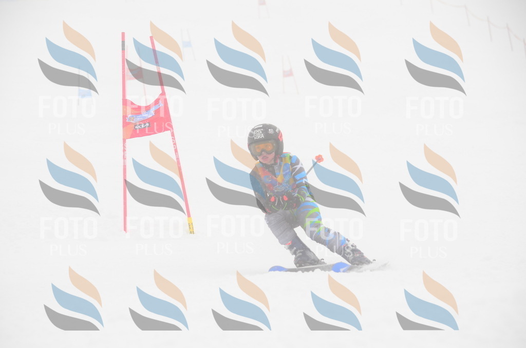 C0827 | holidayphoto