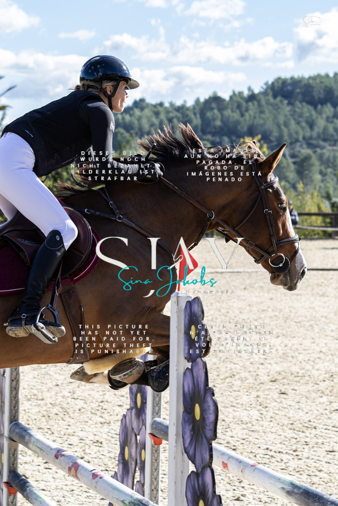 IMG_0780-2 | s-jay-photography - Realisiert mit Pictrs.com