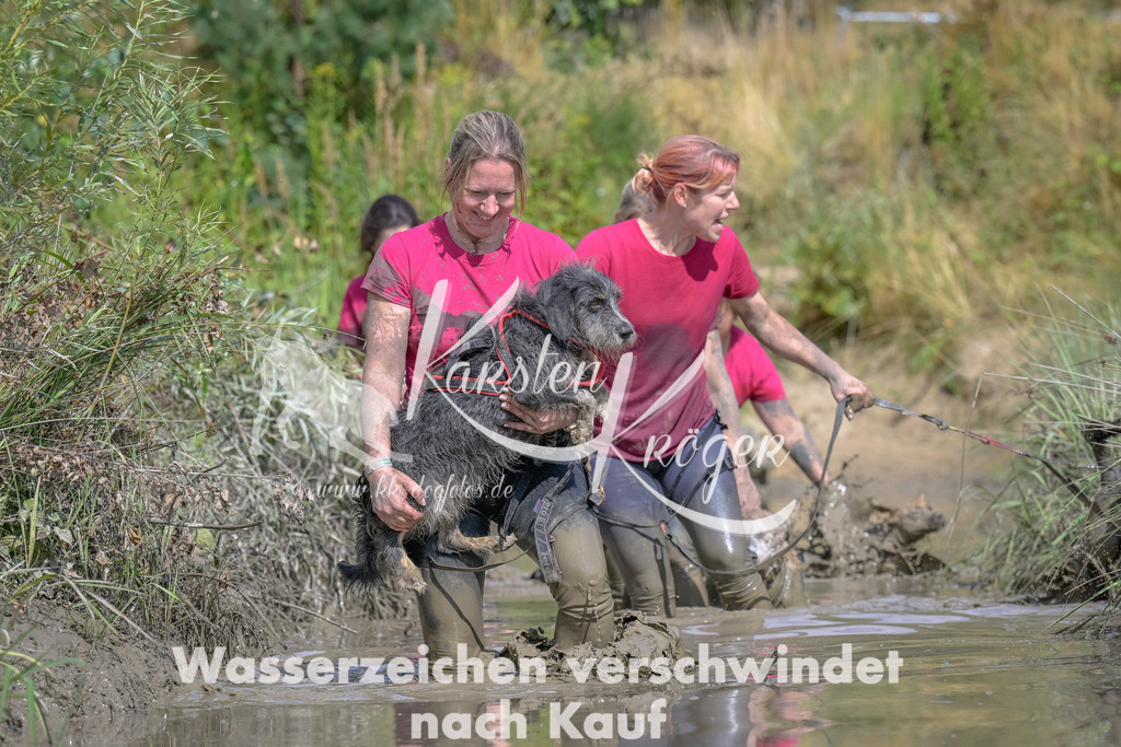 1620_ZZ95435 | kk-dogfotos