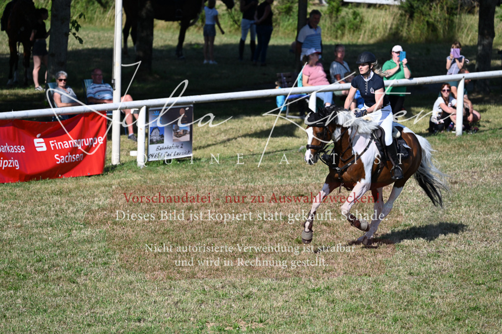 DSC_2408 | Pferde- und Turnierfotografie in Westsachsen. Pferdeportraits, Auftragszeichnungen und intuitive Kunst.