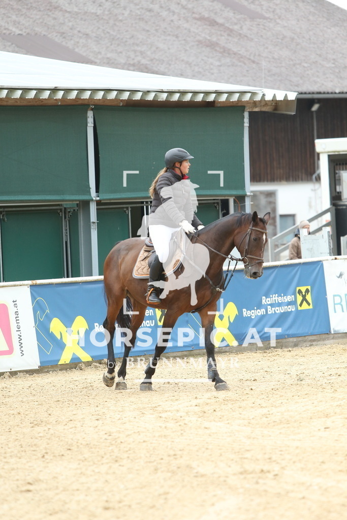 DL2Q0953 | Willkommen bei Brunnmayr - Design & Fotografie – Ihrem Spezialisten für Reitturniere und Pferdeveranstaltungen in Oberösterreich, Salzburg und Bayern! Seit über 17 Jahren sind wir leidenschaftlich dabei.