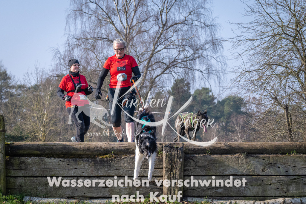 _ZZ91983 | kk-dogfotos