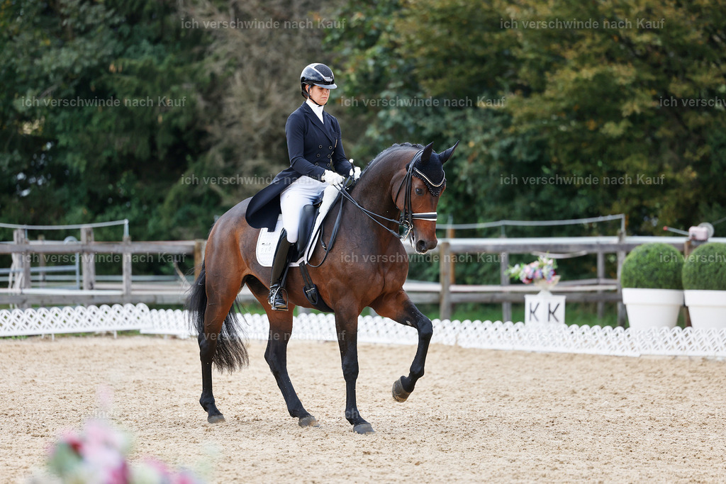 12-110-DRESSUR  S___  -StoibPH-5285 | working equitationturnier fotograf videograf stoibphotography marixx film working equitation deutschland reitsport turnierfotografie eventfotografie equestrian events