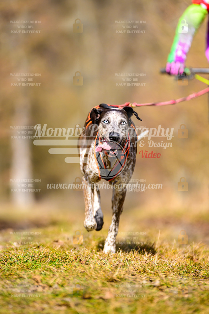 MompixPhotography_Schwabentrail2025_SO_DS1-105 | PayLife