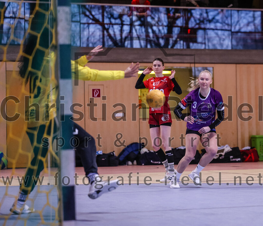 2025-02-22_100_SpVgg_Altenerding_gegen_TG_Landshut | Erding, Deutschland, 22.02.2025:Handball, Bezirksoberliga Frauen Altbayern 2024 / 2024, 15. Spieltag, SpVgg Altenerding gegen TG Landshut, Endergebnis: 25:22Torfrau Rebecca Tragl (TG Landshut, #16), Sandra Süß (TG Landshut, #8), Lena Popp (SpVgg Altenerding, #3)Foto: Christian Riedel / fotografie-riedel.net