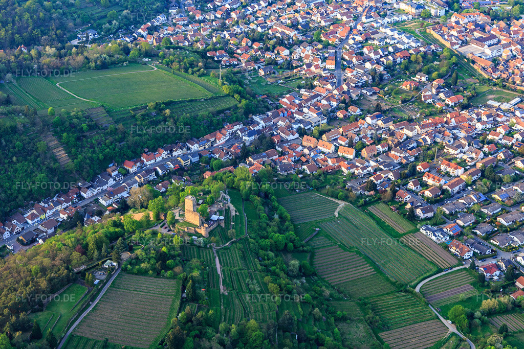 Luftbild: Stadtansicht aus Südosten mit Wachtenburg (Ruine Burg Wachenheim) umgeben von Rebzeilen in Wachenheim an der Weinstraße im Bundesland Rheinland-Pfalz in Deutschland. Foto: IMG_106739.jpg vom 21.04.2018 durch Werner Riehm/FLY-FOTO.de
