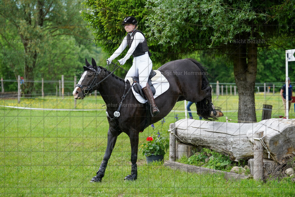 20240518-FAH03995 | Turnierbilder von Niederseon, Turnierfotografen Bayern, Fotoagentur Herrmann, Geländebilder, Reitsportfotografie