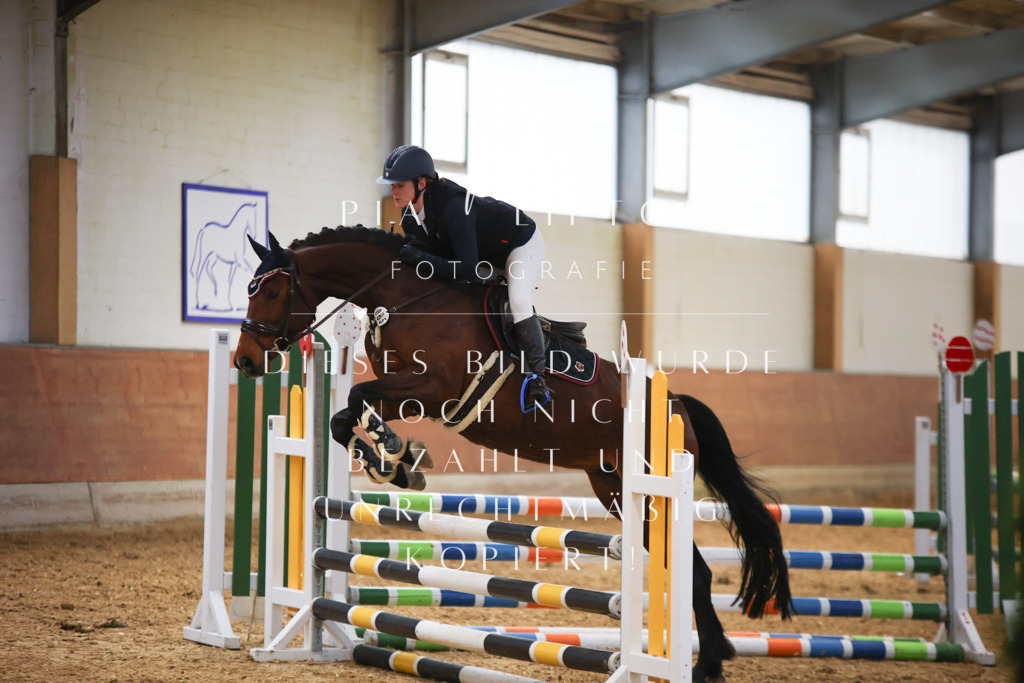 IMGT1987 | pl-fotografie