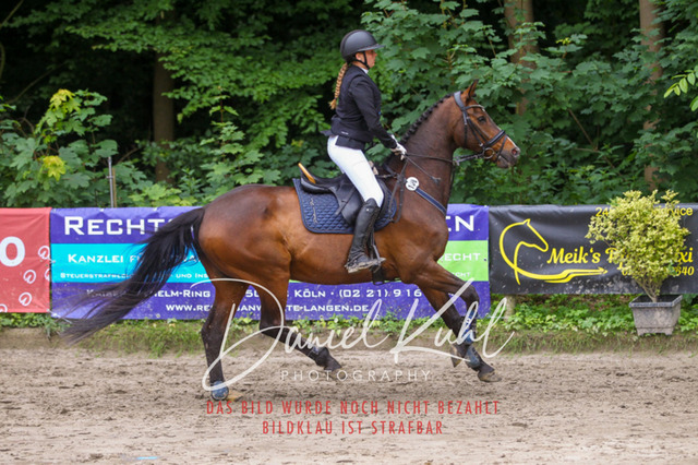 DKP45017 | Turnierfotos kaufen im Webshop von Daniel Kuhl Photography – entdecke professionelle Reitsportfotos aus Turnieren & Events. Hochwertige Turnierbilder online bestellen & sichern. Jetzt Fotos von Reitsportturnieren kaufen!