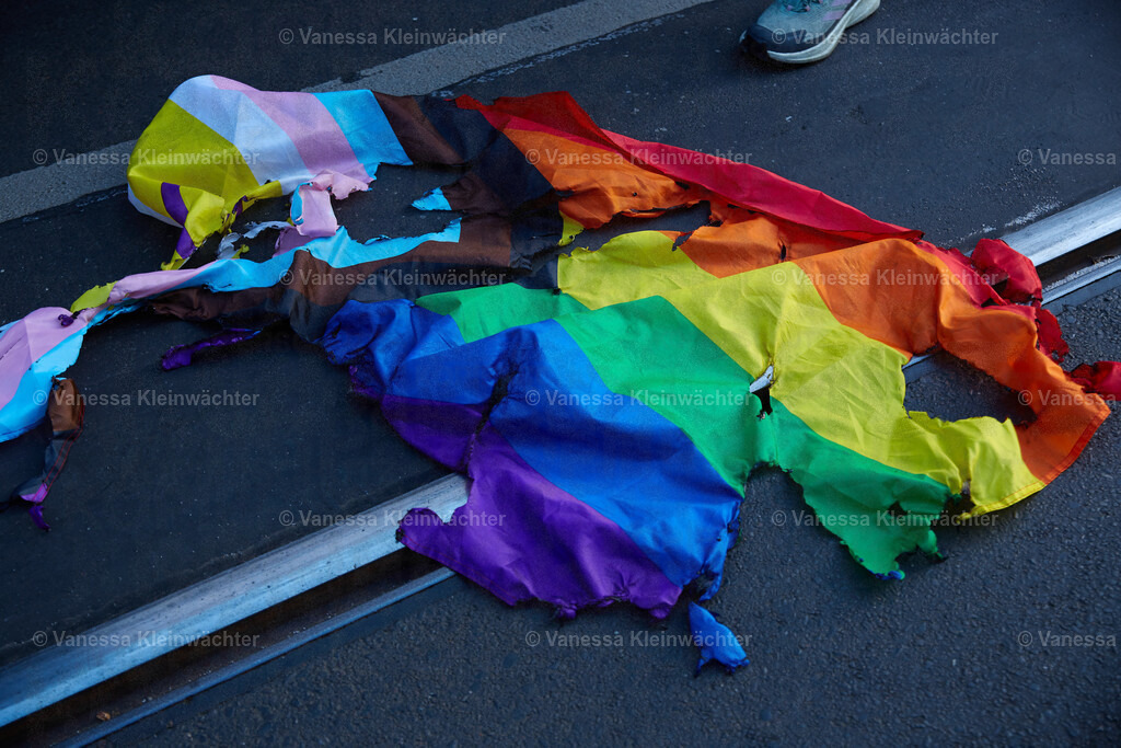 250506_TipsyBearSoli_38 | Vanessa Kleinwächter - Realisiert mit Pictrs.com