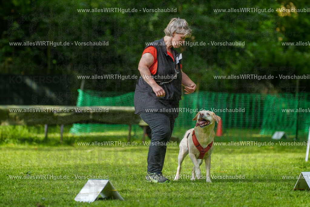 @allesWIRTHgut_Tierfotografie - www.allesWIRTHgut.de - 7R502200 | Professionelle Tierfotografie in Mönchengladbach von Daniel Wirth (allesWIRTHgut). Liebevolle & natürliche Bilder von Hunden & Katzen für unvergessliche Erinnerungen.